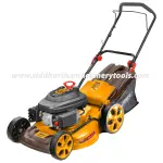 Ingco | Gasoline Lawn Mower (GLM196201) - 20 inch